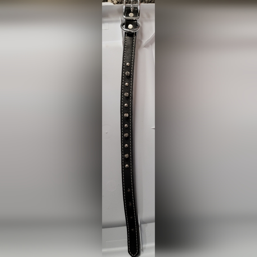 Studded dog collar